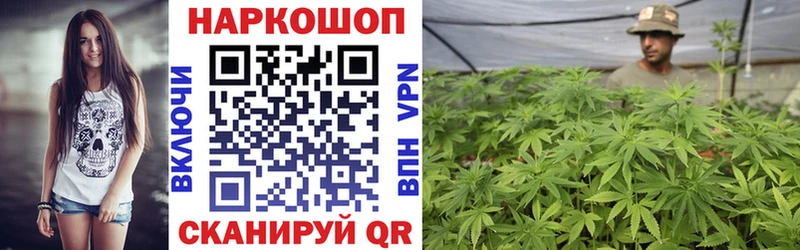 МЕФ Можга