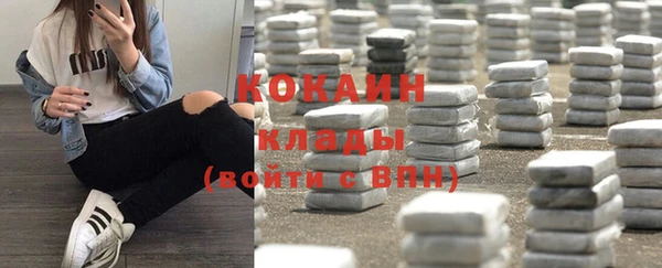 прущие грибы Зерноград
