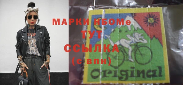 прущие грибы Зерноград