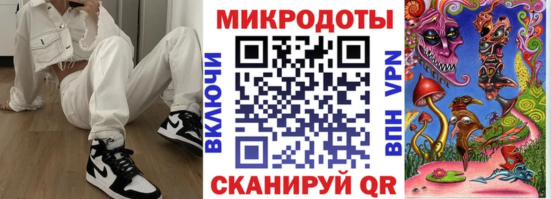 закладка  Можга  Галлюциногенные грибы Psilocybe 